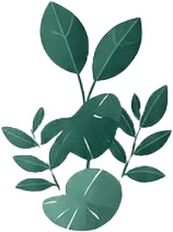 a green plant with leaves on it 6.jpg